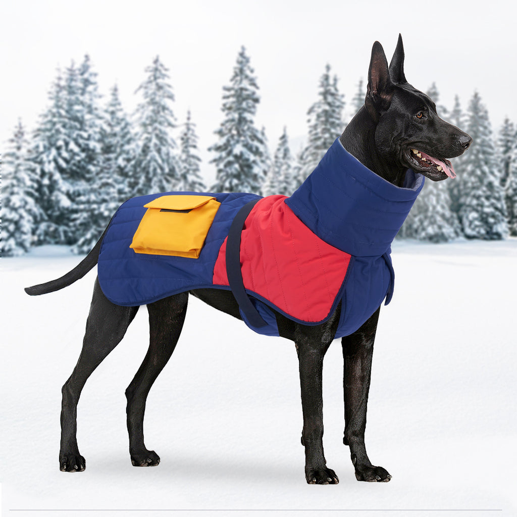 Winter Padded Dog Coat in Blue Red and Black White