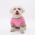 Striped Winter Dog Coat in Red, Grey, and Blue