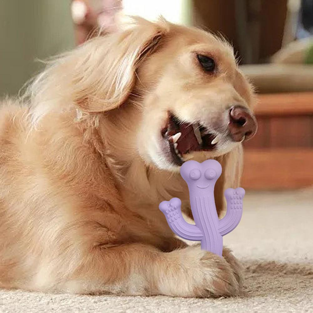 Cactus Dog Chew Toy in Beige, Purple & Blue