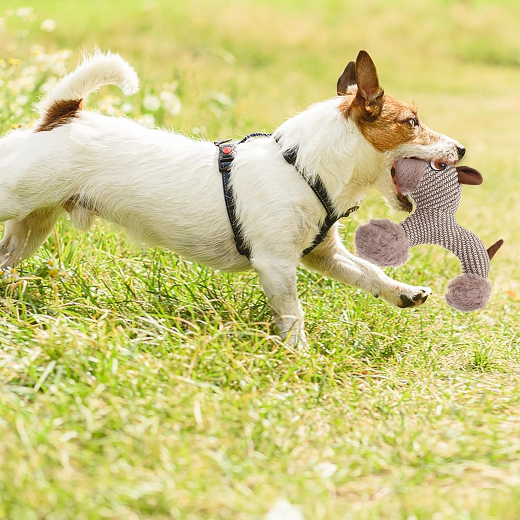 Large Squeaky Plush Dog Toy Puppy & Monkey