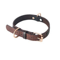 Durable Dog Collar and Leash Set in Multiple Colors
