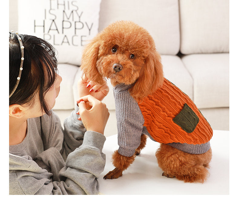 Blue and Green Dog Sweater for Small and Large Dogs