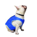 Cooling Vest for Dogs, Warm-Weather Wear