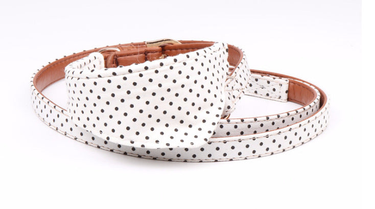 Polka Dot Dog Collar and Leash Set
