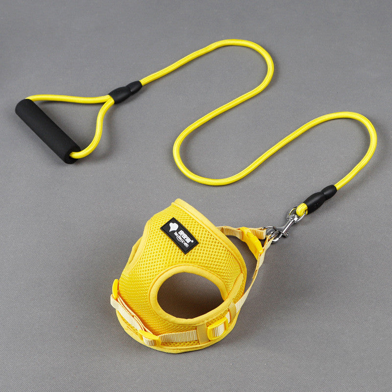 Multicolor Leash and Collar Set in Large