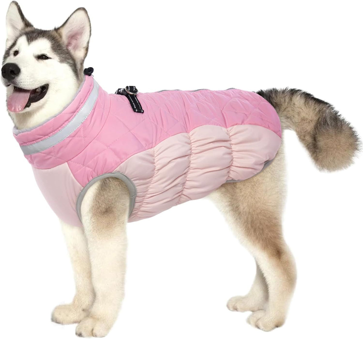Windproof Padded Winter Dog Coat in 9 Colors