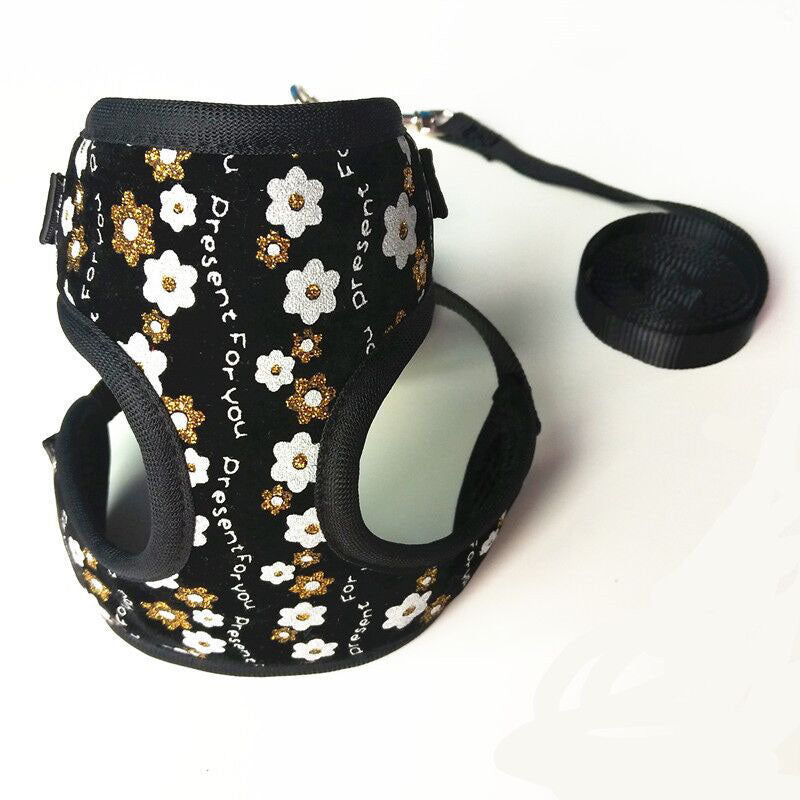 Small Dog Leash for Walking and Training