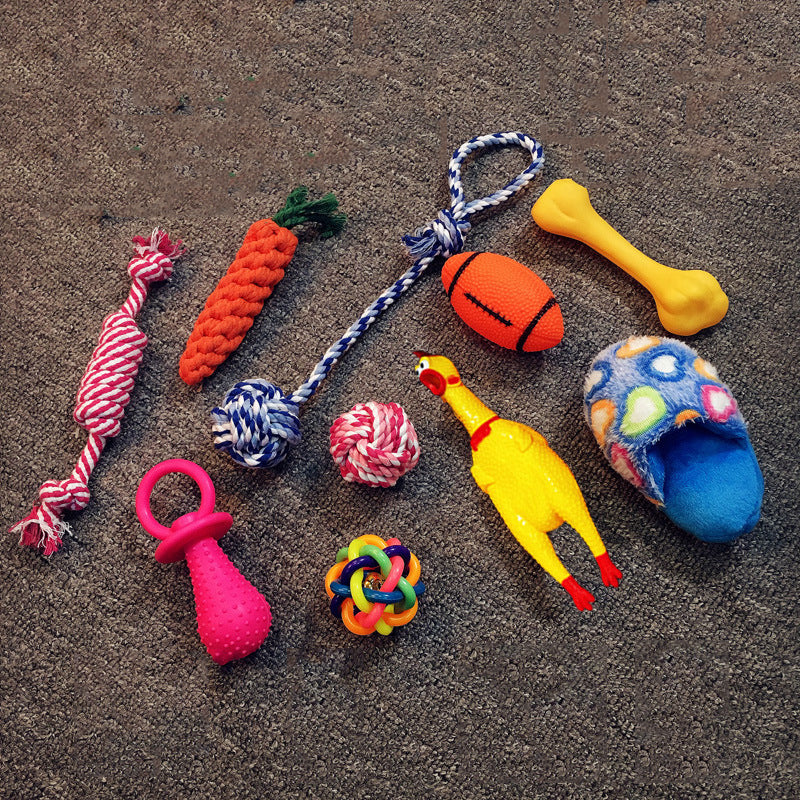 Squeaky Plush Dog Toy Set - Set 5