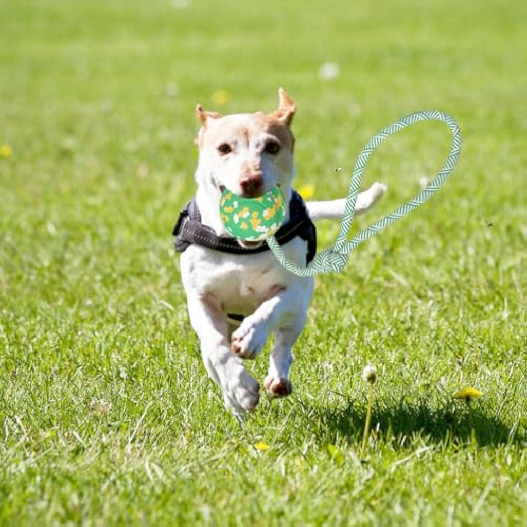 Dog Ball On Rope Fetch Toy For Small & Large Dogs