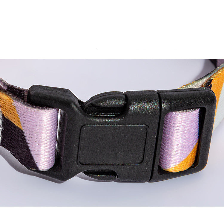 Dog Collar with Leash in Multiple Styles