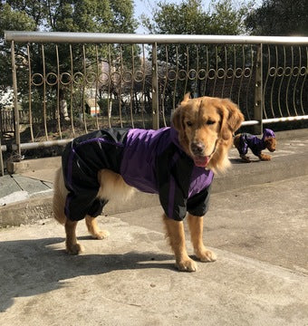 Dog Raincoat with Reflective Trim in Bright Colors