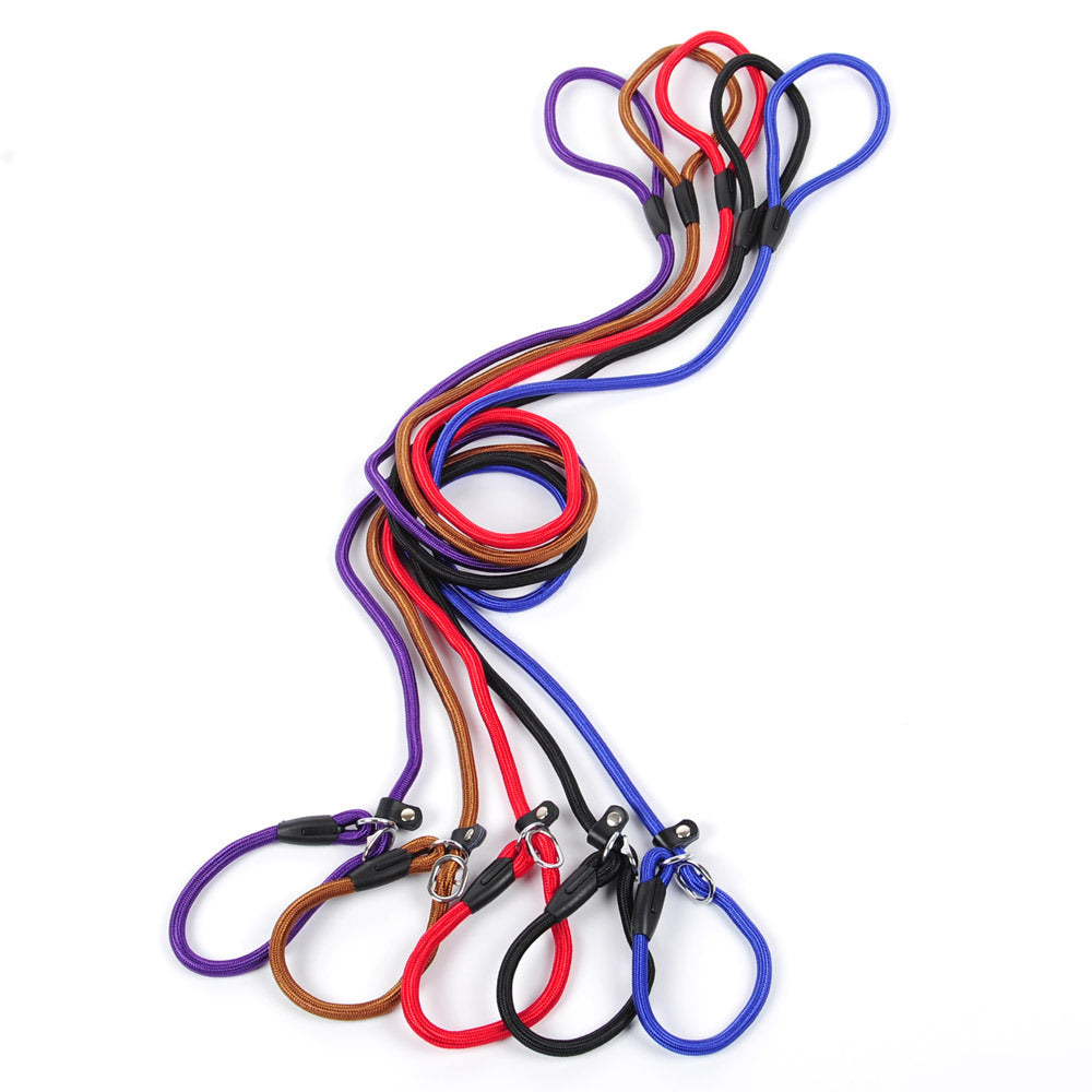 Dog Leash in Multiple Colors and Widths