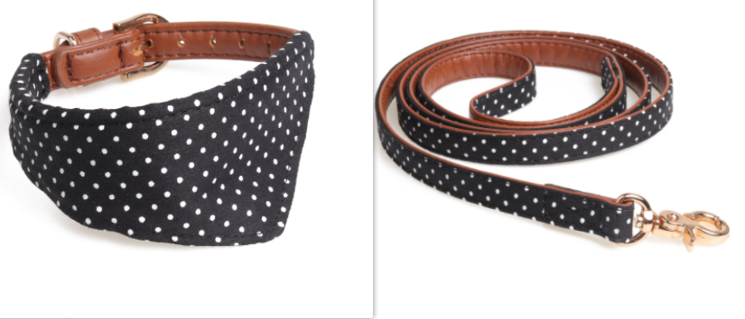 Polka Dot Dog Collar and Leash Set