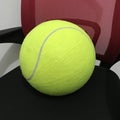 Giant Tennis Ball for Dogs
