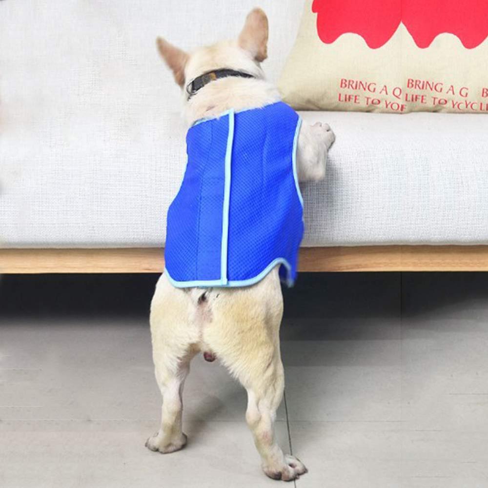 Cooling Vest for Dogs, Warm-Weather Wear