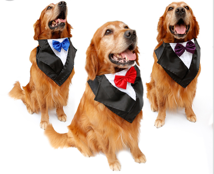 Wedding Tuxedo Triangle Scarf for Large Dogs