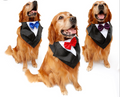 Wedding Tuxedo Triangle Scarf for Large Dogs