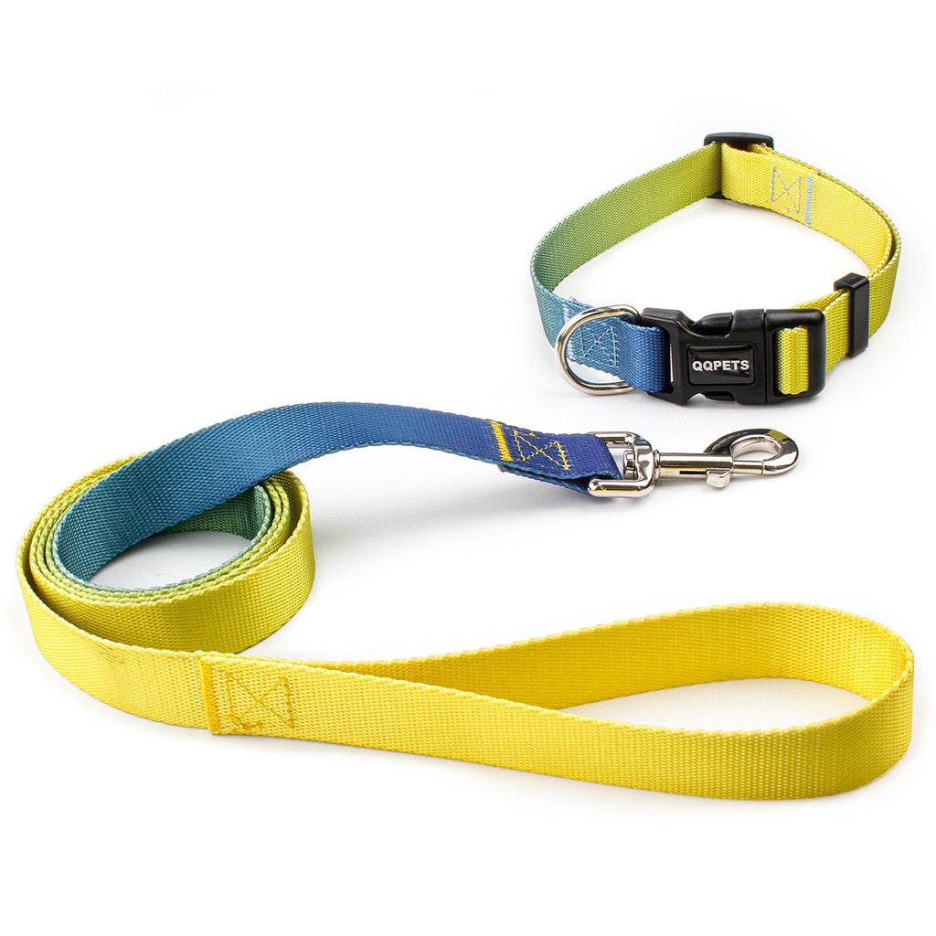 Dog Collar and Leash Combo Set