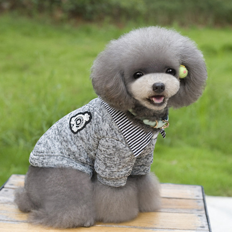 Cozy Dog Hoodie in Grey and Blue