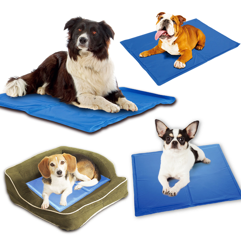 Cooling Mat Dog Bed, Teddy Style