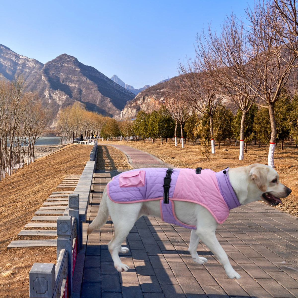 Thick Warm Dog Coat in Wine Red and Light Pink