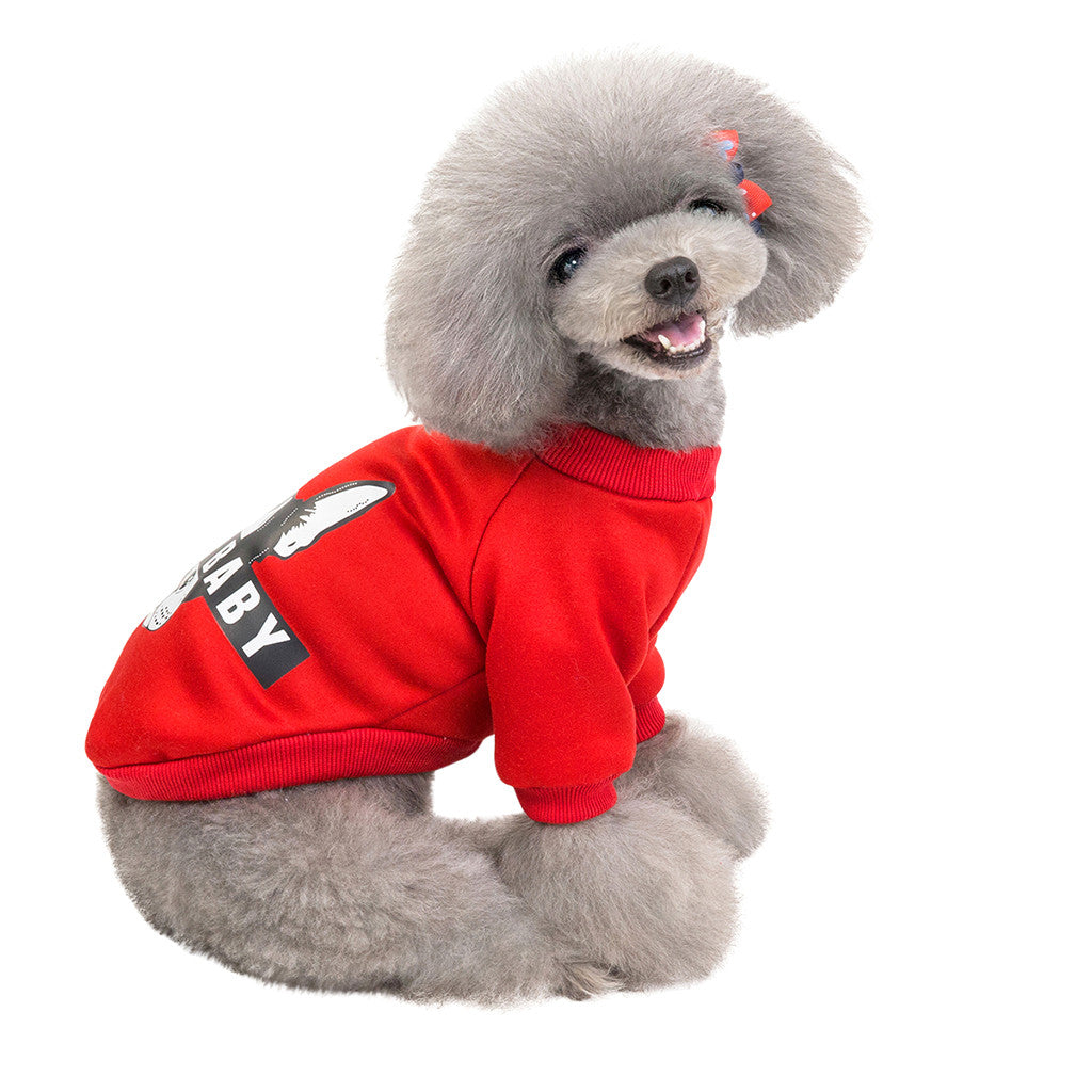 Cozy Dog Sweater in Red and Pink