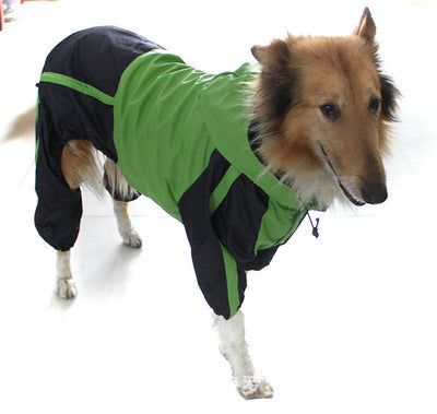 Dog Raincoat with Reflective Trim in Bright Colors