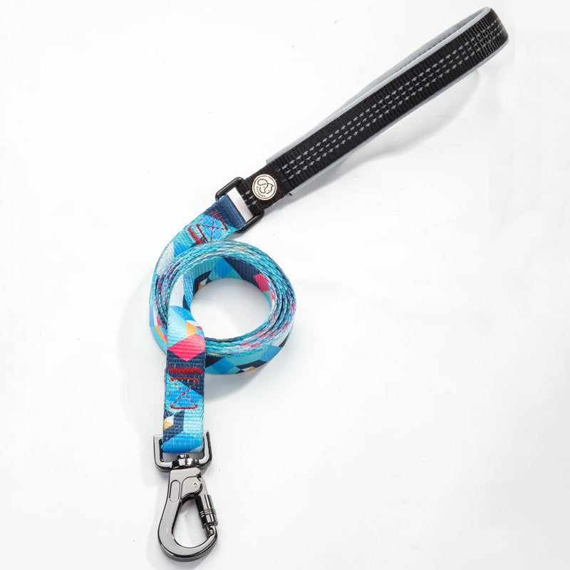 Dog Leash for All Sizes