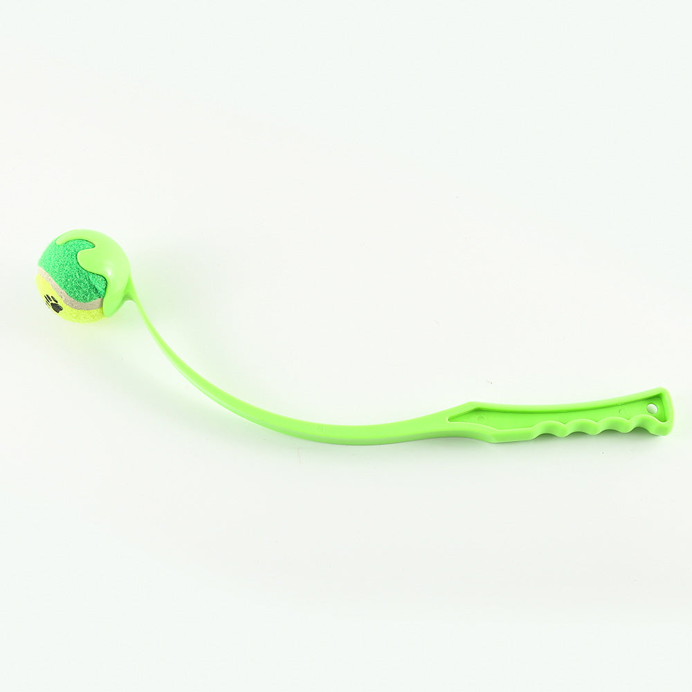 Dog Throwing Ball in Green, Blue, and Red