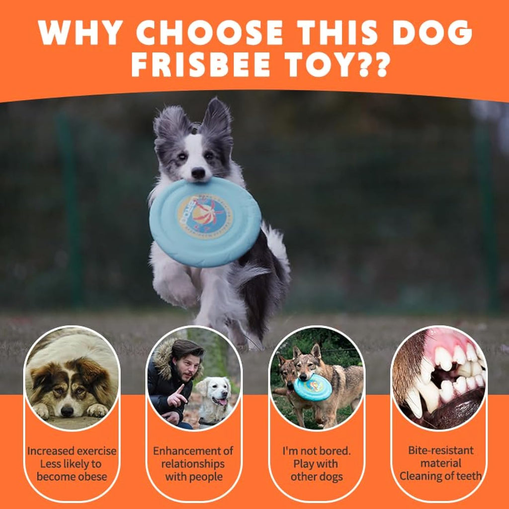 Durable Flying Disc for Dogs in Blue and Yellow