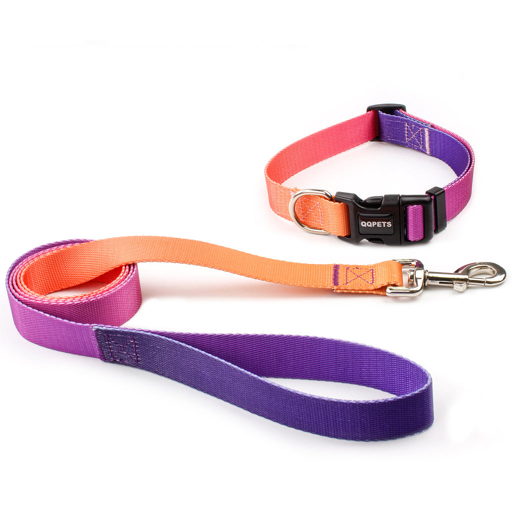 Dog Collar and Leash Combo Set