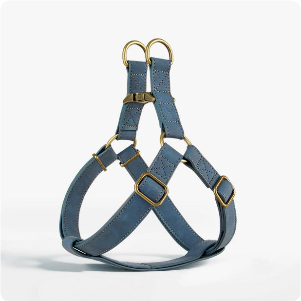 Dog Vest-Style Harness for Small & Medium Dogs