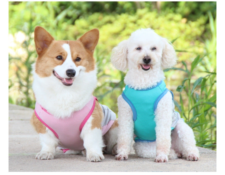 Cooling Vest for Dogs in Reflective Colors