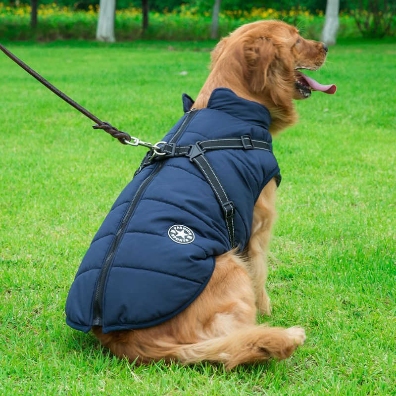 Winter Warm Hooded Dog Coat Jacket For Small Dogs