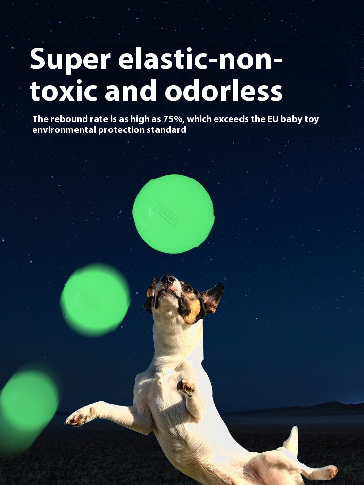 Luminous Rubber Molar Ball Dog Toy