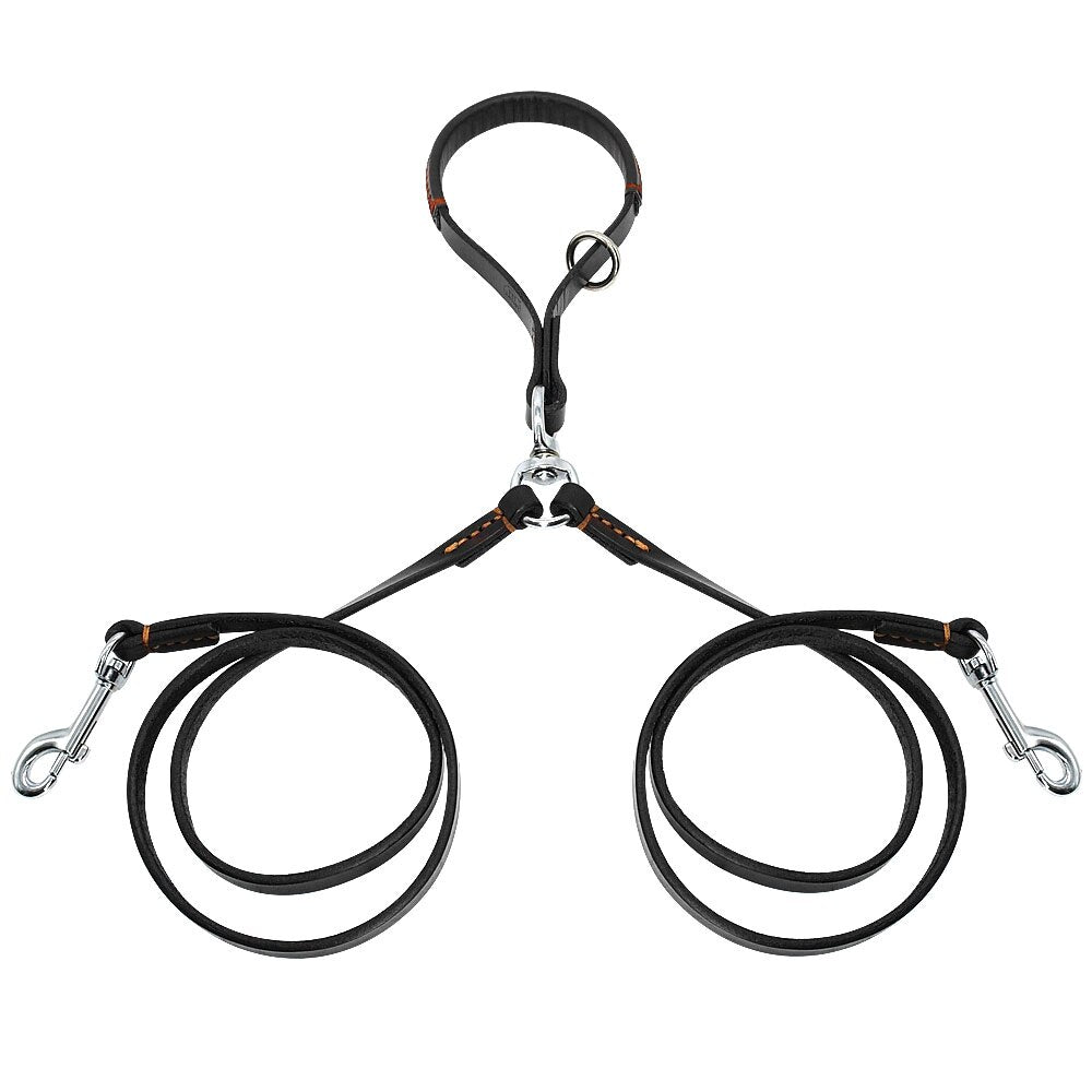 2-Way Dog Leash for Training and Walking