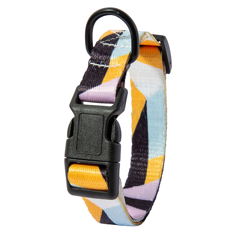Dog Collar with Leash in Multiple Styles