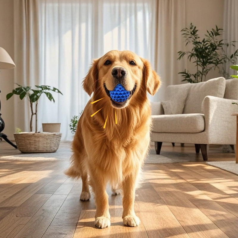 Squeaky Balls for Aggressive Chewers, Two Sizes