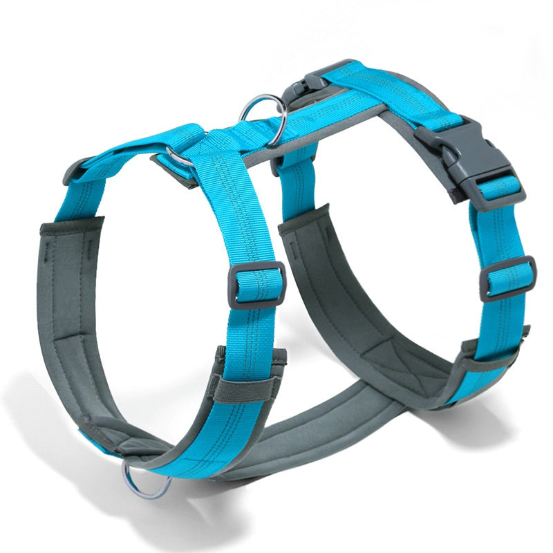 Dog Leash and Harness Vest for Every Pup