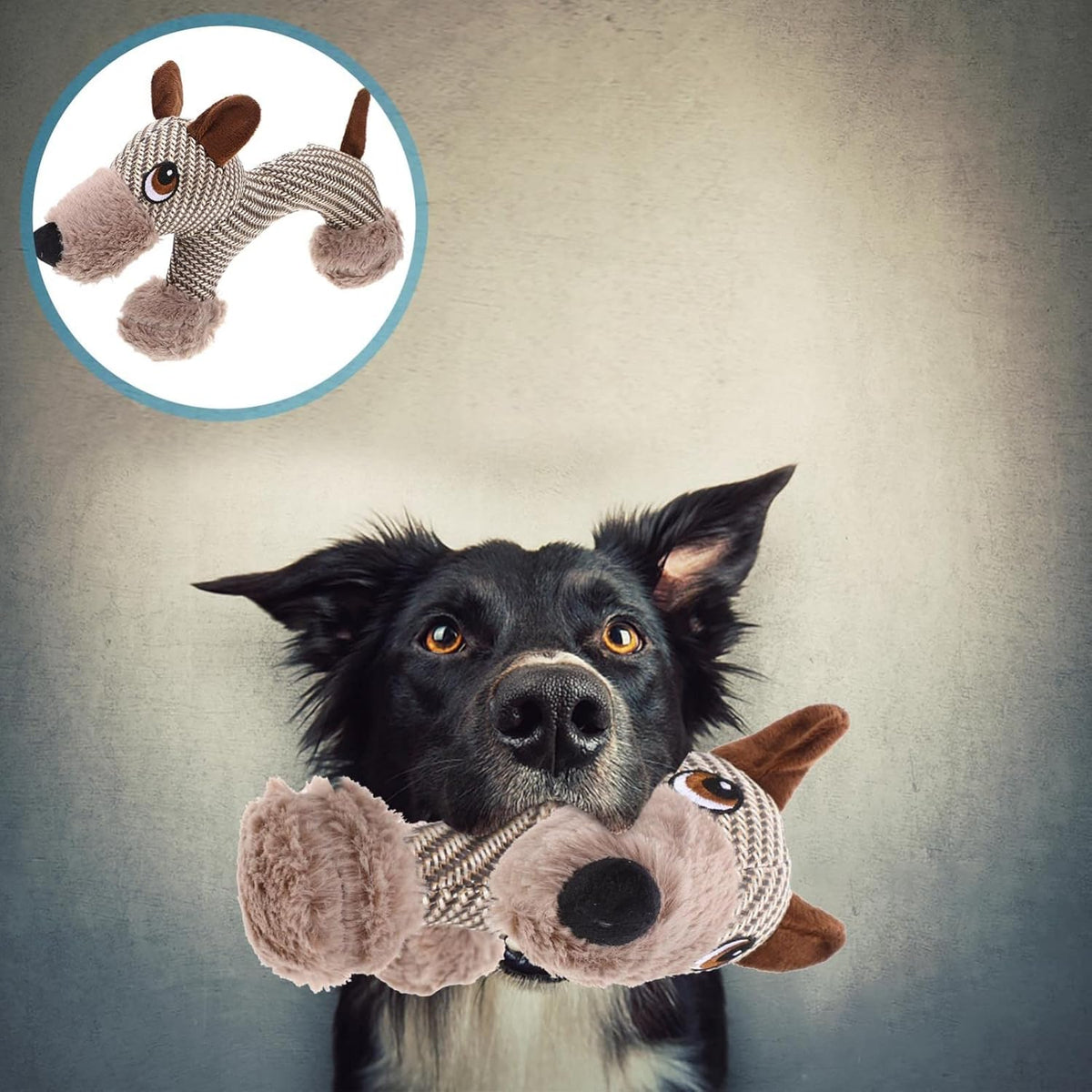Large Squeaky Plush Dog Toy Puppy & Monkey