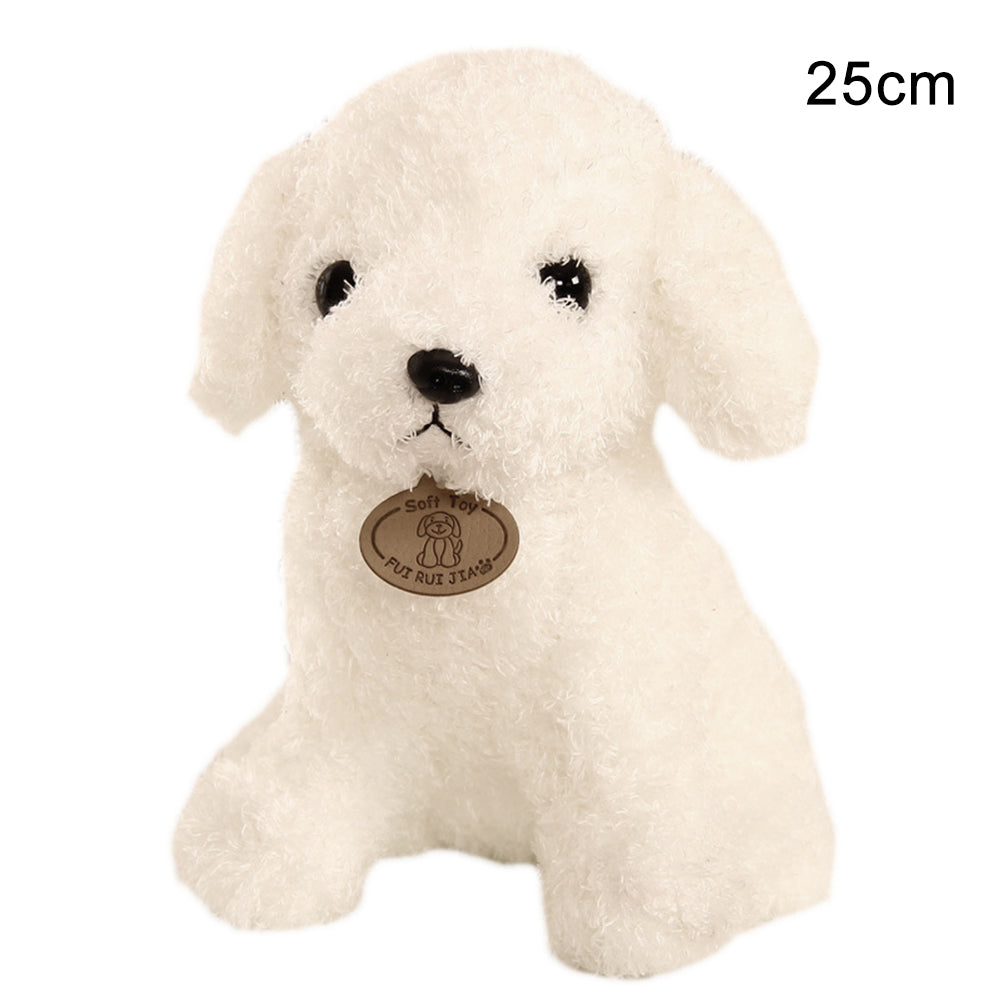 Soft Teddy Dog Plush Toy in Multiple Colors