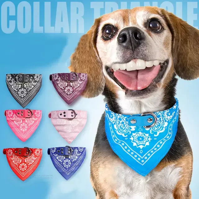 Triangle Dog Scarf in Rose and Blue