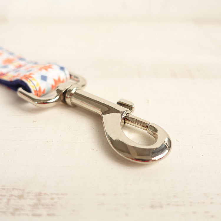 Lantern Dog Leash and Collar Combo