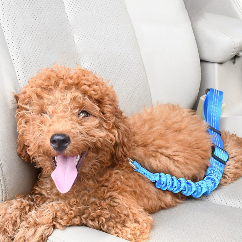 Dog Car Safety Belt for Pets
