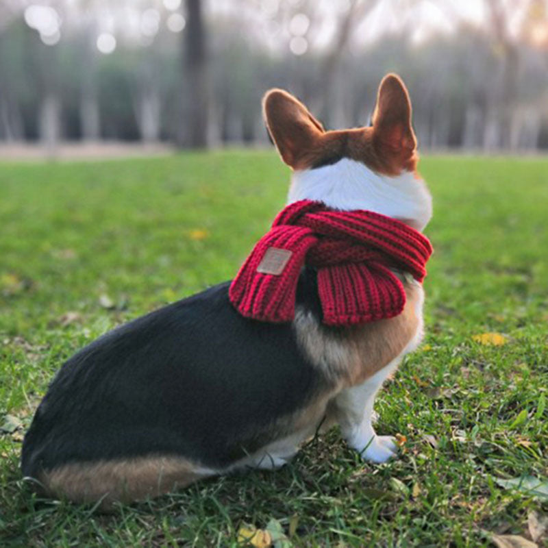 Colorful Dog Scarf in Blue, Red, Yellow, Green, and Ash