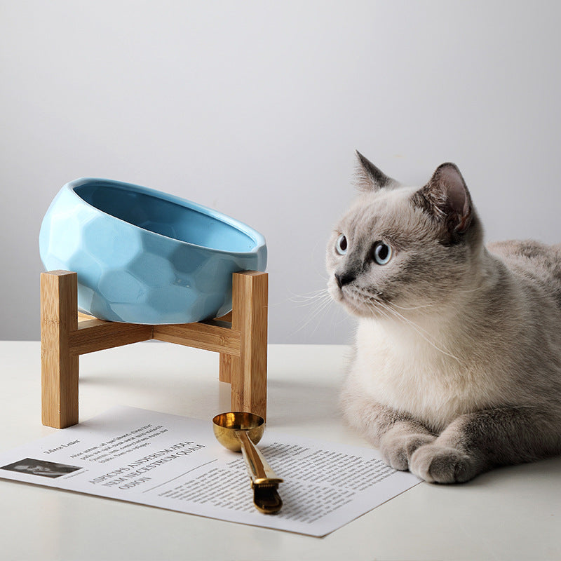 Slanted Bowl Set for Dogs