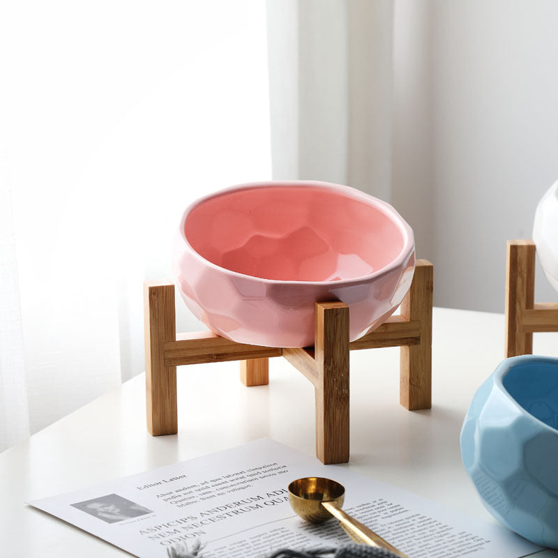 Slanted Bowl Set for Dogs