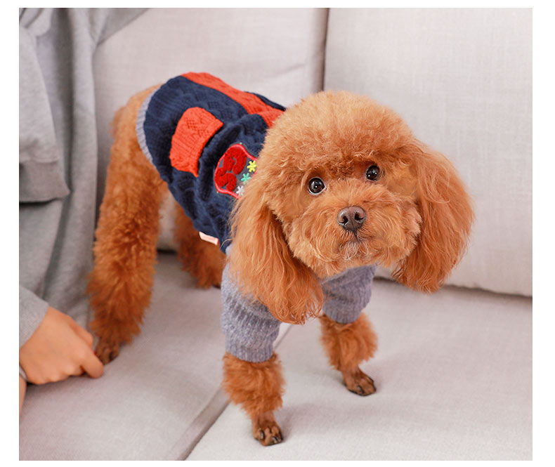 Blue and Green Dog Sweater for Small and Large Dogs