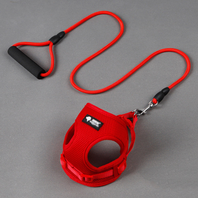 Multicolor Leash and Collar Set in Large