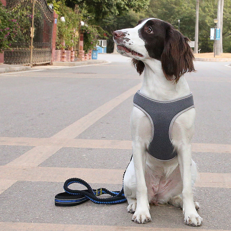 Dog Harness Vest in Blue, Black, and Green
